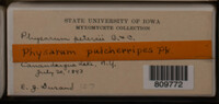 Image Associated With the Occurence